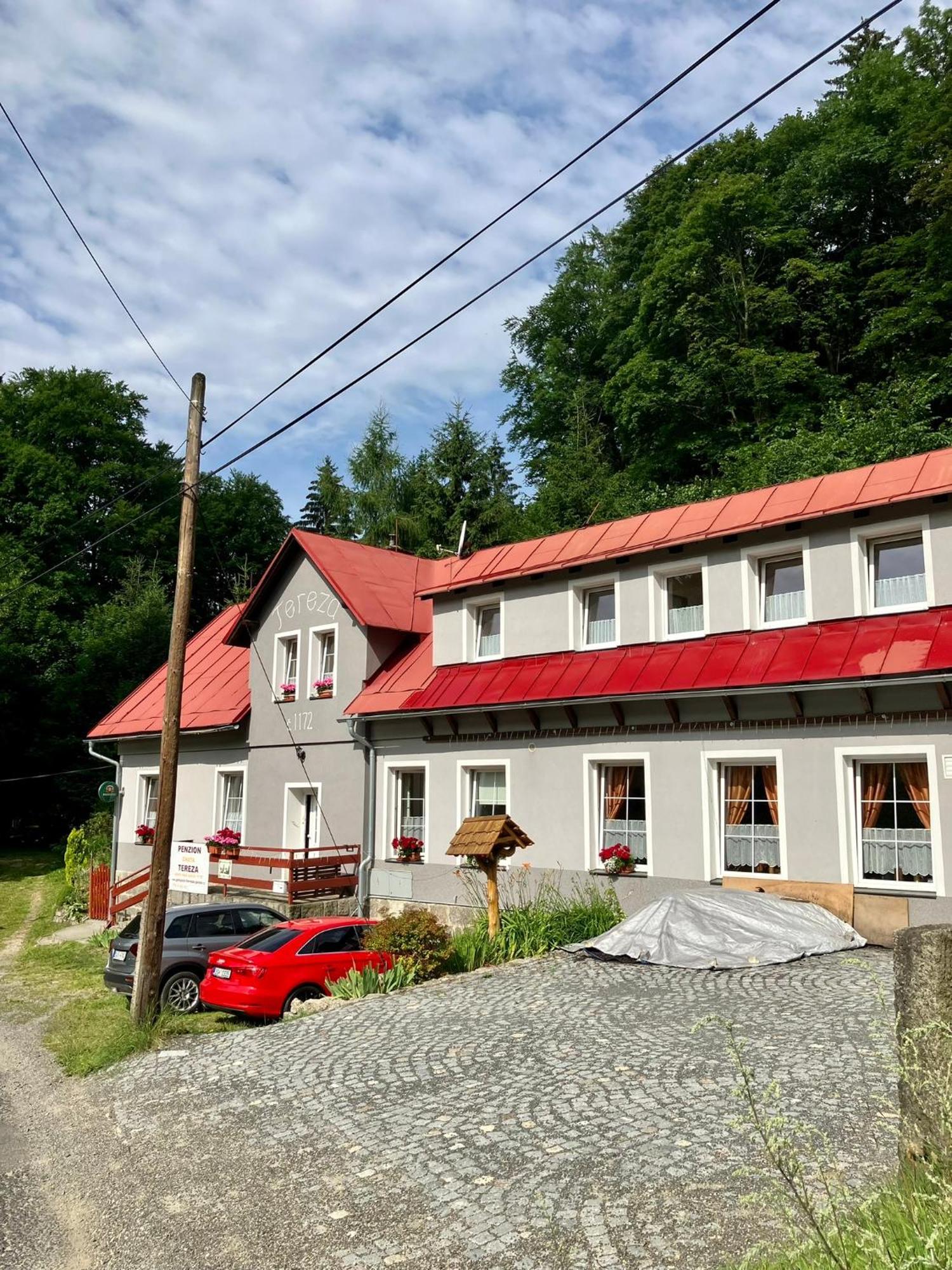 Chata Tereza Hotel Janov nad Nisou Eksteriør billede